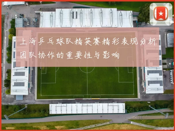 上海乒乓球队精英赛精彩表现分析团队协作的重要性与影响