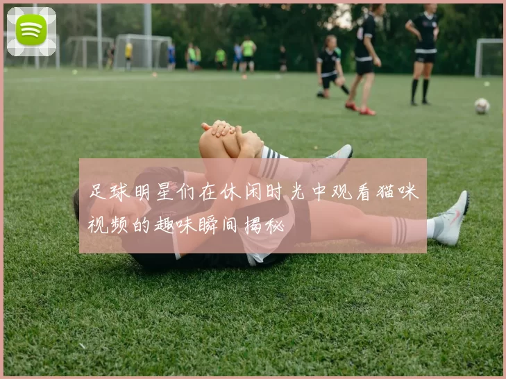 足球明星们在休闲时光中观看猫咪视频的趣味瞬间揭秘