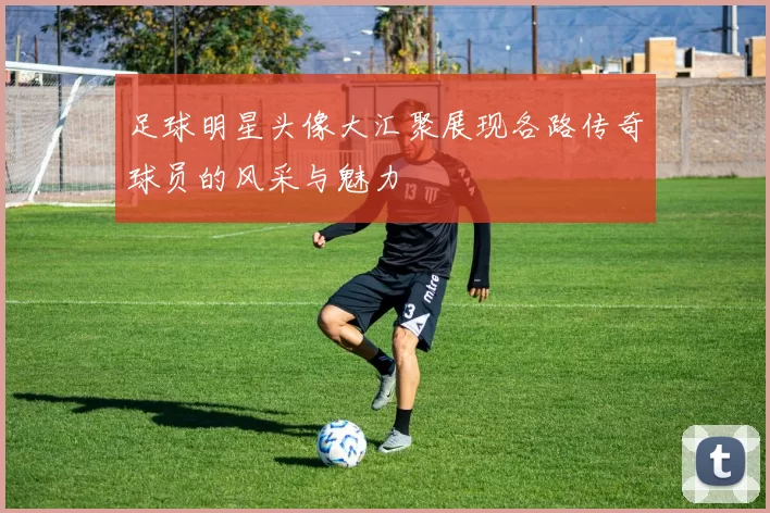 足球明星头像大汇聚展现各路传奇球员的风采与魅力